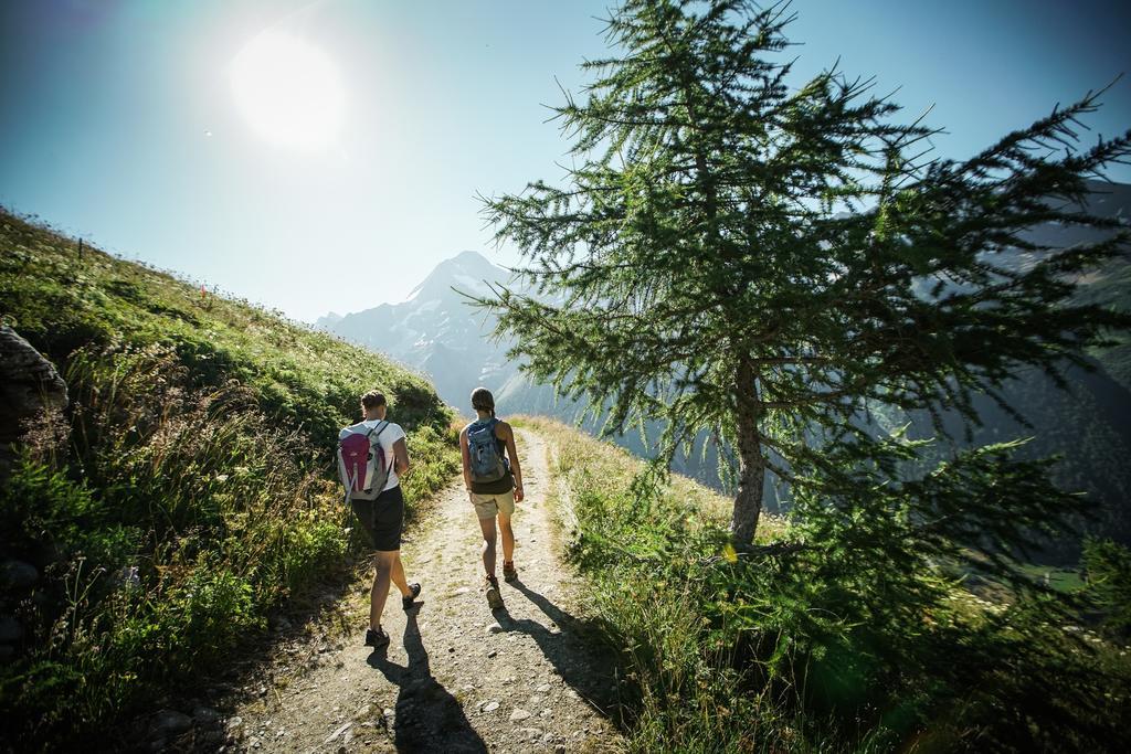 Nest- Und Bietschhorn 3* Blatten (Lotschen)